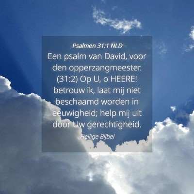 Picture 04 - Psalmen 31:1 NLD - Een psalm van David, voor den opperzangmeester. - Bible Verse Picture
