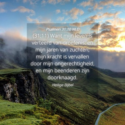 Picture 04 - Psalmen 31:10 NLD - (31:11) Want mijn leven is verteerd van - Bible Verse Picture