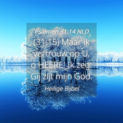 Picture 04 - Psalmen 31:14 NLD - (31:15) Maar ik vertrouw op U, o HEERE! Ik zeg: - Bible Verse Picture
