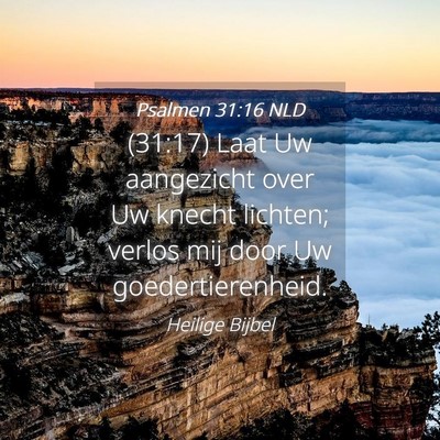 Picture 04 - Psalmen 31:16 NLD - (31:17) Laat Uw aangezicht over Uw knecht - Bible Verse Picture
