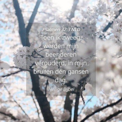 Picture 04 - Psalmen 32:3 NLD - Toen ik zweeg, werden mijn beenderen verouderd, - Bible Verse Picture