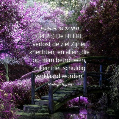 Picture 04 - Psalmen 34:22 NLD - (34:23) De HEERE verlost de ziel Zijner knechten; - Bible Verse Picture