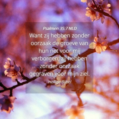 Picture 04 - Psalmen 35:7 NLD - Want zij hebben zonder oorzaak de groeve van hun - Bible Verse Picture