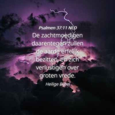 Picture 04 - Psalmen 37:11 NLD - De zachtmoedigen daarentegen zullen de aarde - Bible Verse Picture