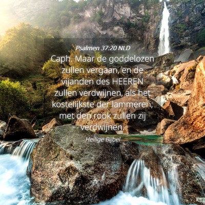 Picture 04 - Psalmen 37:20 NLD - Caph. Maar de goddelozen zullen vergaan, en de - Bible Verse Picture