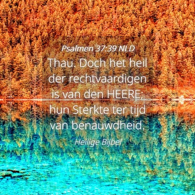 Picture 04 - Psalmen 37:39 NLD - Thau. Doch het heil der rechtvaardigen is van den - Bible Verse Picture