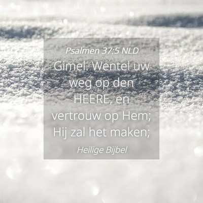 Picture 04 - Psalmen 37:5 NLD - Gimel. Wentel uw weg op den HEERE, en vertrouw op - Bible Verse Picture