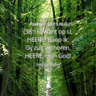 Picture 04 - Psalmen 38:15 NLD - (38:16) Want op U, HEERE! hoop ik; Gij zult - Bible Verse Picture