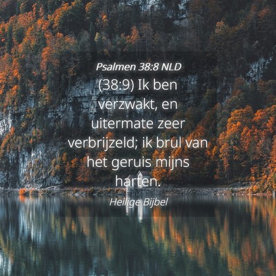 Picture 04 - Psalmen 38:8 NLD - (38:9) Ik ben verzwakt, en uitermate zeer - Bible Verse Picture