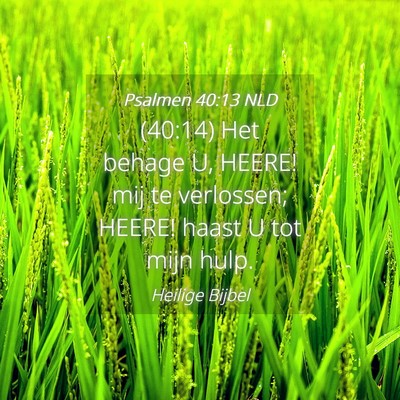 Picture 04 - Psalmen 40:13 NLD - (40:14) Het behage U, HEERE! mij te verlossen; - Bible Verse Picture