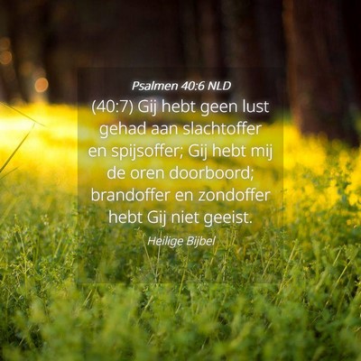 Picture 04 - Psalmen 40:6 NLD - (40:7) Gij hebt geen lust gehad aan slachtoffer - Bible Verse Picture