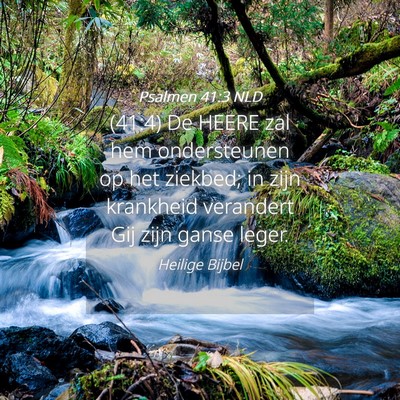 Picture 04 - Psalmen 41:3 NLD - (41:4) De HEERE zal hem ondersteunen op het - Bible Verse Picture