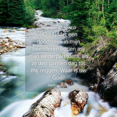 Picture 04 - Psalmen 42:10 NLD - (42:11) Met een doodsteek in mijn beenderen honen - Bible Verse Picture