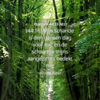 Picture 04 - Psalmen 44:15 NLD - (44:16) Mijn schande is den gansen dag voor mij, - Bible Verse Picture