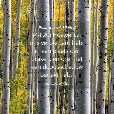 Picture 04 - Psalmen 44:19 NLD - (44:20) Hoewel Gij ons verpletterd hebt in een - Bible Verse Picture