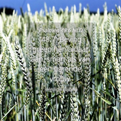 Picture 04 - Psalmen 48:6 NLD - (48:7) Beving greep hen aldaar aan, smart als van - Bible Verse Picture