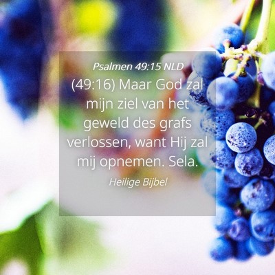 Picture 04 - Psalmen 49:15 NLD - (49:16) Maar God zal mijn ziel van het geweld des - Bible Verse Picture