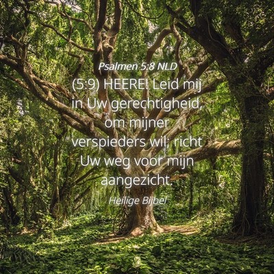 Picture 04 - Psalmen 5:8 NLD - (5:9) HEERE! Leid mij in Uw gerechtigheid, om - Bible Verse Picture