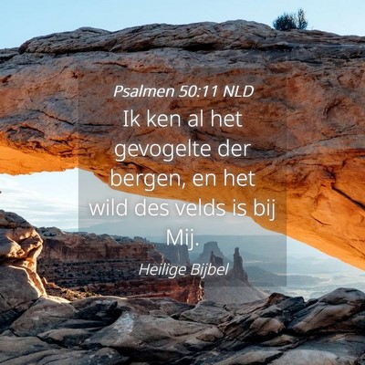Picture 04 - Psalmen 50:11 NLD - Ik ken al het gevogelte der bergen, en het wild - Bible Verse Picture
