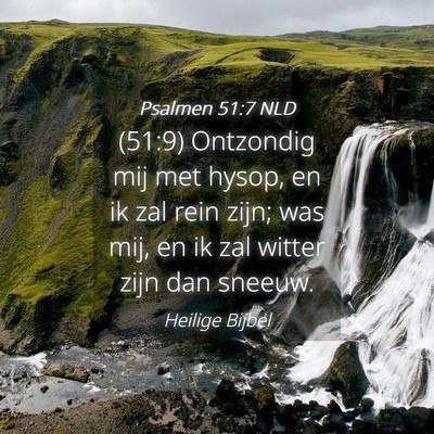 Picture 04 - Psalmen 51:7 NLD - (51:9) Ontzondig mij met hysop, en ik zal rein - Bible Verse Picture