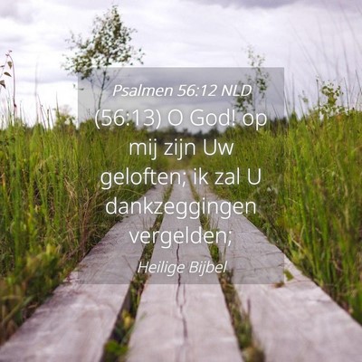 Picture 04 - Psalmen 56:12 NLD - (56:13) O God! op mij zijn Uw geloften; ik zal U - Bible Verse Picture