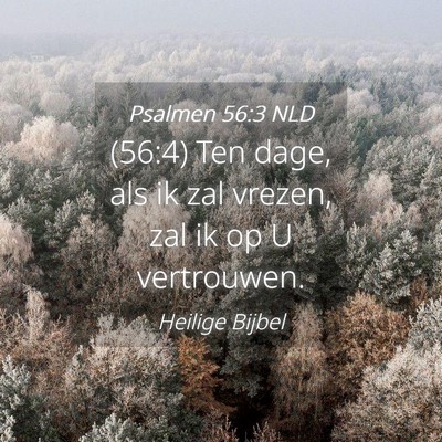 Picture 04 - Psalmen 56:3 NLD - (56:4) Ten dage, als ik zal vrezen, zal ik op U - Bible Verse Picture
