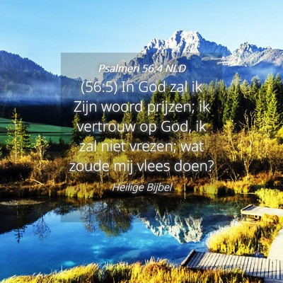 Picture 04 - Psalmen 56:4 NLD - (56:5) In God zal ik Zijn woord prijzen; ik - Bible Verse Picture