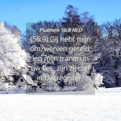Picture 04 - Psalmen 56:8 NLD - (56:9) Gij hebt mijn omzwerven geteld; leg mijn - Bible Verse Picture