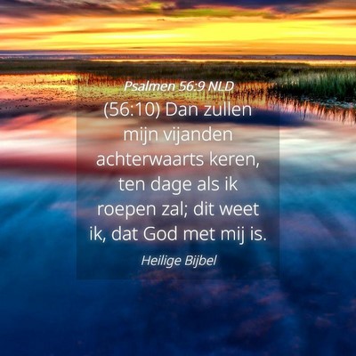 Picture 04 - Psalmen 56:9 NLD - (56:10) Dan zullen mijn vijanden achterwaarts - Bible Verse Picture