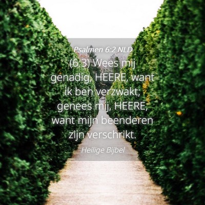 Picture 04 - Psalmen 6:2 NLD - (6:3) Wees mij genadig, HEERE, want ik ben - Bible Verse Picture