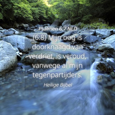 Picture 04 - Psalmen 6:7 NLD - (6:8) Mijn oog is doorknaagd van verdriet, is - Bible Verse Picture