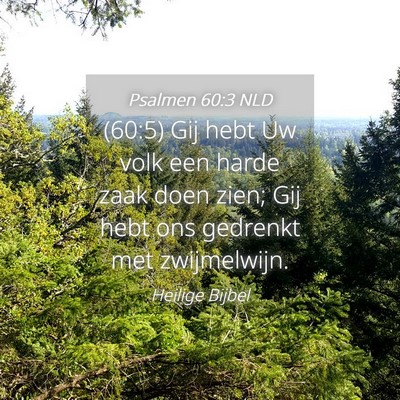 Picture 04 - Psalmen 60:3 NLD - (60:5) Gij hebt Uw volk een harde zaak doen zien; - Bible Verse Picture