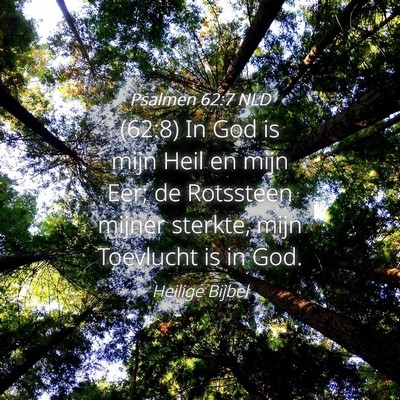 Picture 04 - Psalmen 62:7 NLD - (62:8) In God is mijn Heil en mijn Eer; de - Bible Verse Picture