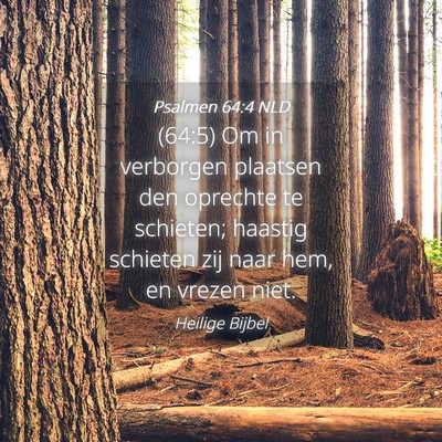 Picture 04 - Psalmen 64:4 NLD - (64:5) Om in verborgen plaatsen den oprechte te - Bible Verse Picture