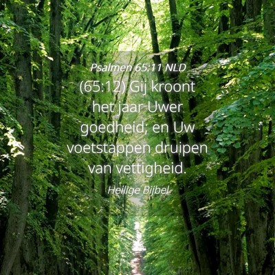 Picture 04 - Psalmen 65:11 NLD - (65:12) Gij kroont het jaar Uwer goedheid; en Uw - Bible Verse Picture