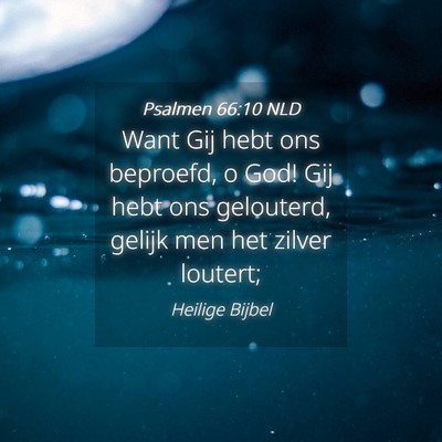 Picture 04 - Psalmen 66:10 NLD - Want Gij hebt ons beproefd, o God! Gij hebt ons - Bible Verse Picture
