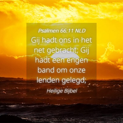 Picture 04 - Psalmen 66:11 NLD - Gij hadt ons in het net gebracht; Gij hadt een - Bible Verse Picture