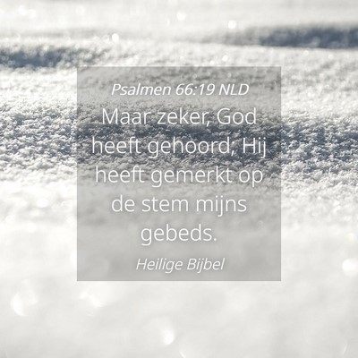 Picture 04 - Psalmen 66:19 NLD - Maar zeker, God heeft gehoord; Hij heeft gemerkt - Bible Verse Picture