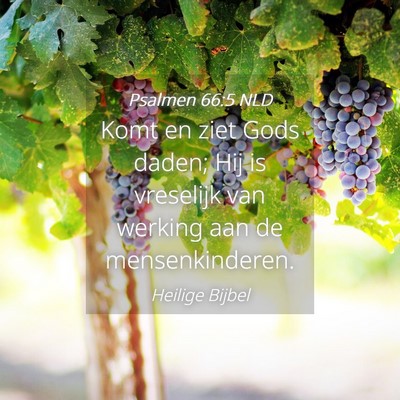 Picture 04 - Psalmen 66:5 NLD - Komt en ziet Gods daden; Hij is vreselijk van - Bible Verse Picture