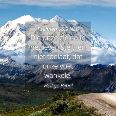 Picture 04 - Psalmen 66:9 NLD - Die onze zielen in het leven stelt, en niet - Bible Verse Picture