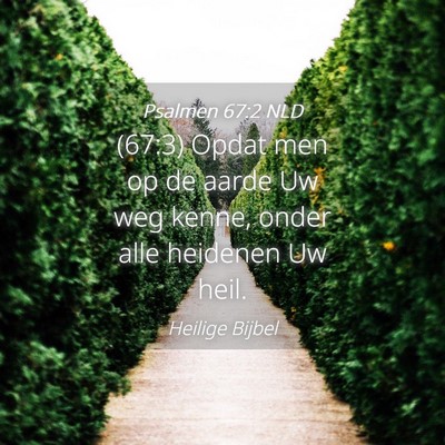 Picture 04 - Psalmen 67:2 NLD - (67:3) Opdat men op de aarde Uw weg kenne, onder - Bible Verse Picture