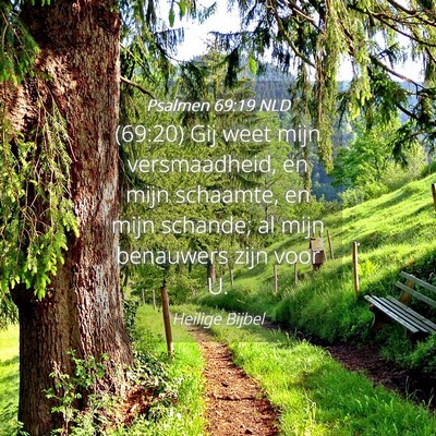 Picture 04 - Psalmen 69:19 NLD - (69:20) Gij weet mijn versmaadheid, en mijn - Bible Verse Picture