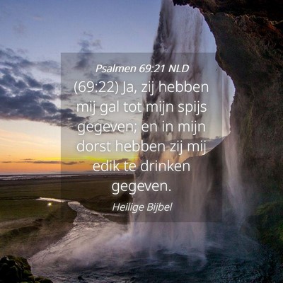 Picture 04 - Psalmen 69:21 NLD - (69:22) Ja, zij hebben mij gal tot mijn spijs - Bible Verse Picture