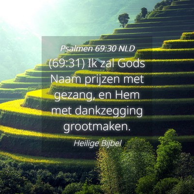 Picture 04 - Psalmen 69:30 NLD - (69:31) Ik zal Gods Naam prijzen met gezang, en - Bible Verse Picture