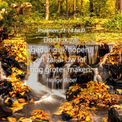 Picture 04 - Psalmen 71:14 NLD - Doch ik zal geduriglijk hopen, en zal al Uw lof - Bible Verse Picture