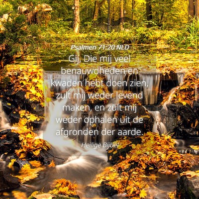 Picture 04 - Psalmen 71:20 NLD - Gij, Die mij veel benauwdheden en kwaden hebt - Bible Verse Picture