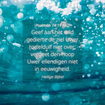 Picture 04 - Psalmen 74:19 NLD - Geef aan het wild gedierte de ziel Uwer - Bible Verse Picture