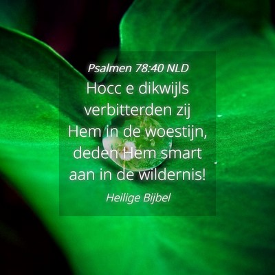 Picture 04 - Psalmen 78:40 NLD - Hocc e dikwijls verbitterden zij Hem in de - Bible Verse Picture