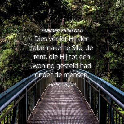 Picture 04 - Psalmen 78:60 NLD - Dies verliet Hij den tabernakel te Silo, de tent, - Bible Verse Picture