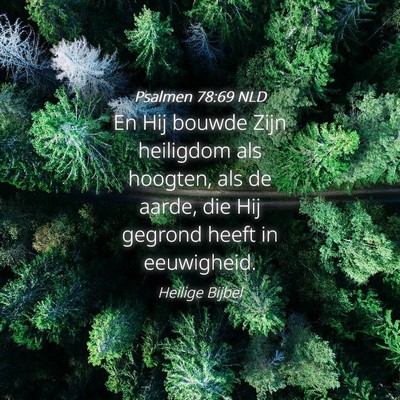 Picture 04 - Psalmen 78:69 NLD - En Hij bouwde Zijn heiligdom als hoogten, als de - Bible Verse Picture